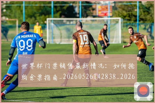 世界杯门票销售最新情况：如何抢购余票指南_20260526142838_20260702200844