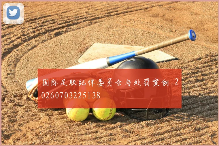 国际足联纪律委员会与处罚案例_20260703225138