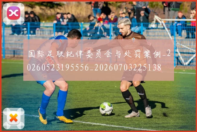 国际足联纪律委员会与处罚案例_20260523195556_20260703225138
