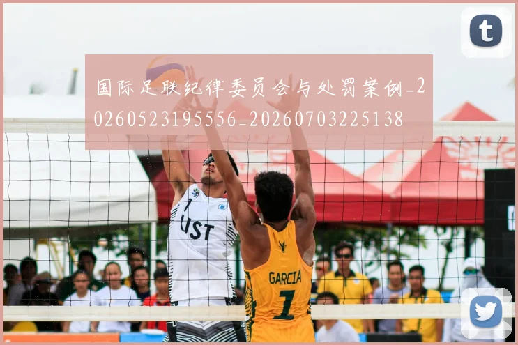 国际足联纪律委员会与处罚案例_20260523195556_20260703225138